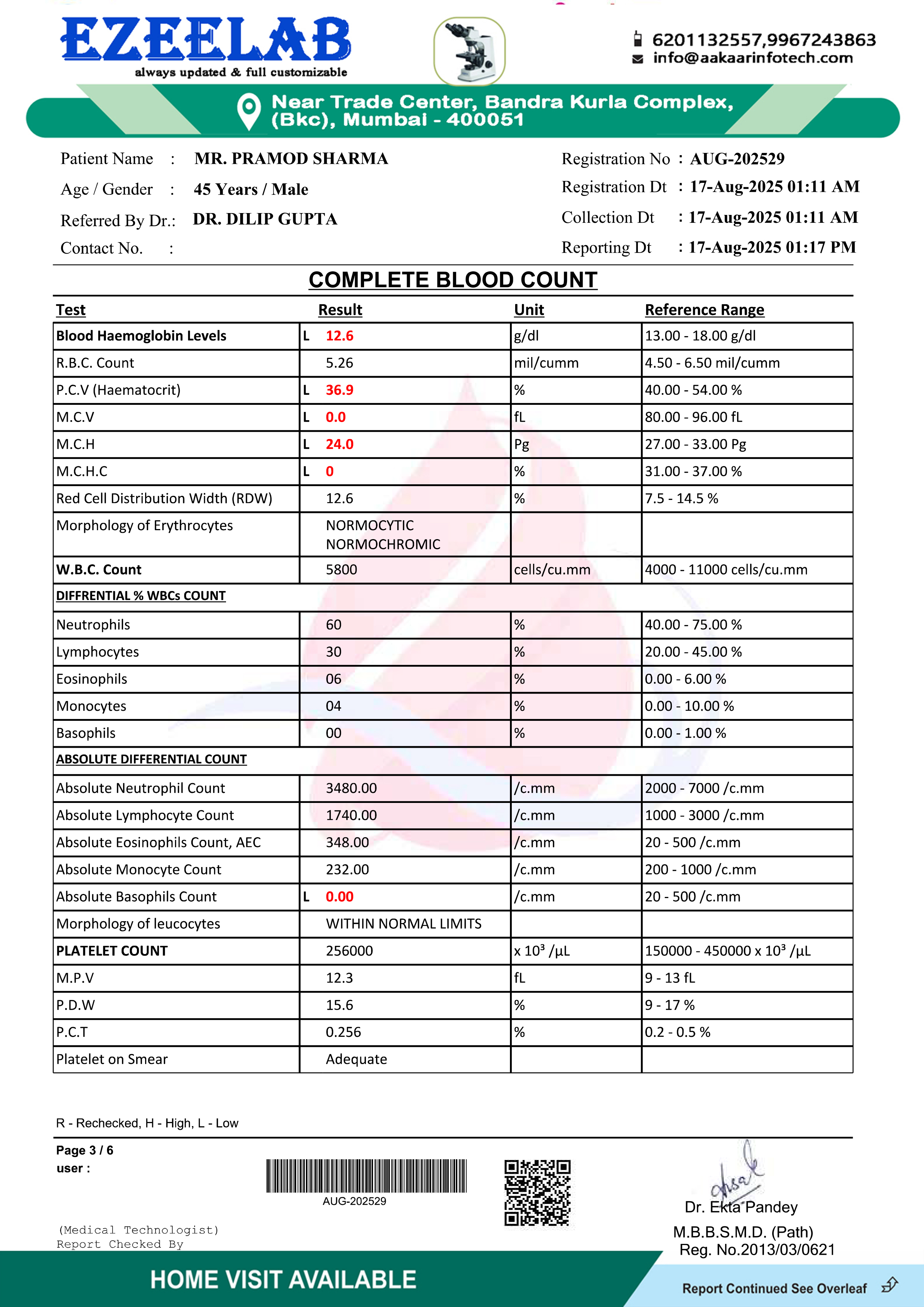 Sample lab report preview